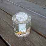 Cotton Bud Holder Seaside Shells Clear Acrylic